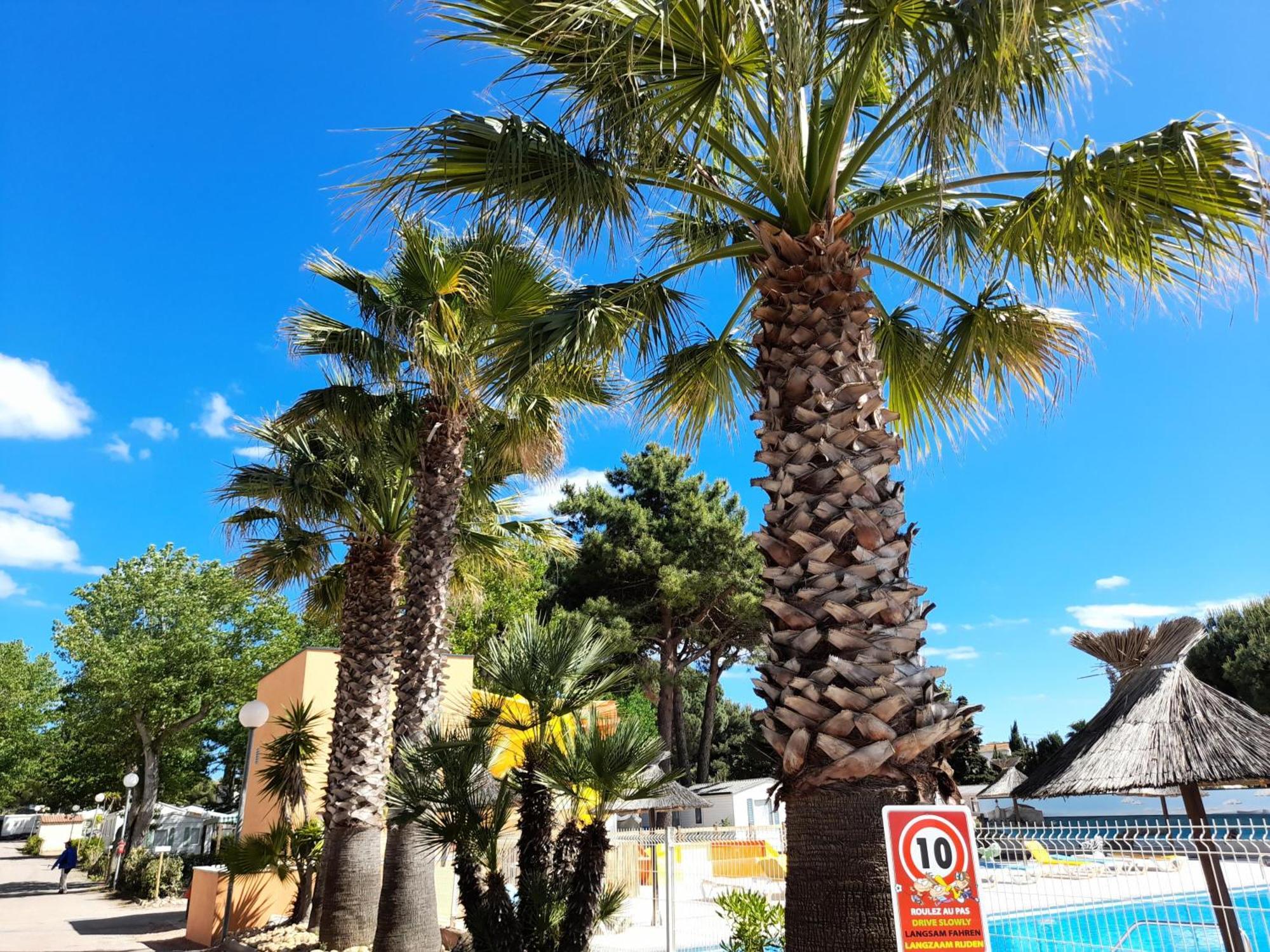 Camping Les Jardins D'Agathe - Maeva Le Grau-d'Agde Bagian luar foto